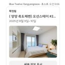 스테이 동산항 | [양양 숙소] 에어비엔비, 오션스테이 Blue Twelve 숙박 후기