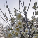 성원당구장 이미지