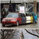 시골오리 이미지