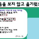 (주)보라