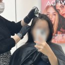 파인트리컨설팅 | 광화문 미용실 파인트리헤어살롱에서 퍼스널 헤어컨설팅하고 아베다염색한 후기