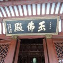 보타