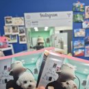 랑숑까까 이미지