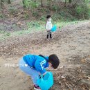 미래연아이어린이집 이미지