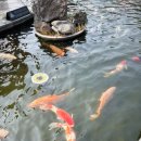 수산과학관(실외) 이미지