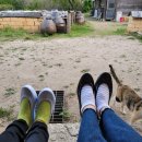 경주한옥펜션 하늘터밭 이미지