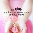 그린농업센터 네이버블로그