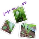 용진농장 이미지