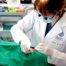 동탄연세원구강악안면외과치과의원 이미지