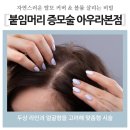 두정상가5길3 | 천안 붙임머리 증모술 전문 아우라 자연스러운 탈모 커버와 볼륨 살리는 비밀
