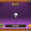 픽시즈 이미지
