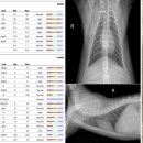 차암동물병원 이미지