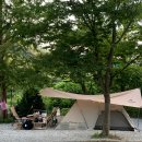 캠프더 포레 이미지