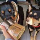 네츄럴트리트 이미지