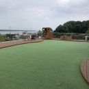 도그캠프 이미지