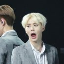 이로케 Daum카페