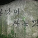 [권순진의 맛있는 시읽기]쓴맛이 사는 맛-최정란 이미지