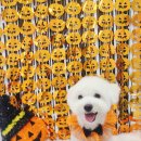 쵸코네묭실 이미지