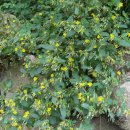 삼성암밑 이미지