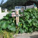 산청-산악-산악-비상1 이미지