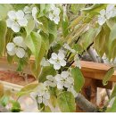 곰섬황토방 이미지