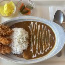 캑터스커리클럽 | [캑터스 커리 클럽] 우연히 들어간 이태원 커리 맛집에서 새우커리 후기 #내돈내산