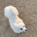 나보다 예쁘개 이미지