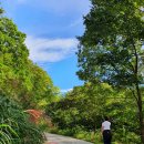 산울림펜션 - 홍천군 공작산로 1859 | 산울림펜션