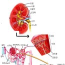 신천동물병원 이미지