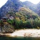 26만 명이 걸어본 가을 절경 무료 트레킹 명소 이미지