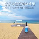 버스정류장 | 강릉 주문진 해수욕장 개장일, 소돌해변 후기(BTS 버스정류장)