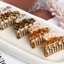 엘리스헤어?? 이미지