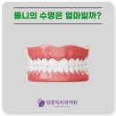 임종득치과의원 이미지