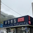 융창횟집 | [영덕맛집] 축산항 대게맛집 융창횟집