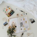 관모초교 이미지