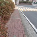 메트로시티공인중개사사무소 이미지