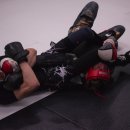 서귀포주짓수,복싱 이미지