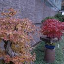 어린이대공원-1 이미지