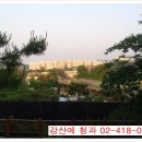 강산에청과