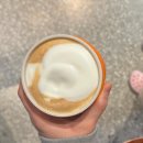 멜버른 이글루 iglu 후기, 유학생[사설 기숙사]