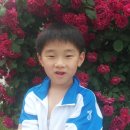 장곡지구대 Daum카페