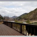 버들민박 이미지