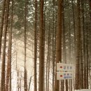 2006.12.17. 눈속을 헤매다 찾아간 삼도봉과 석기봉