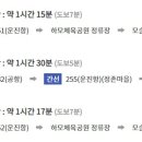 방어축제거리 이미지