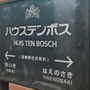 보스카스테라 이미지