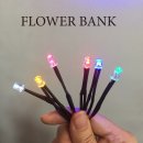 엘이디플라워뱅크