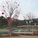 색동빈 이미지