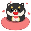 씨티타워102 이미지