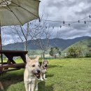 핑코하우스 | 핑코하우스 방문후기