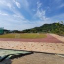 홍농서초등학교 이미지